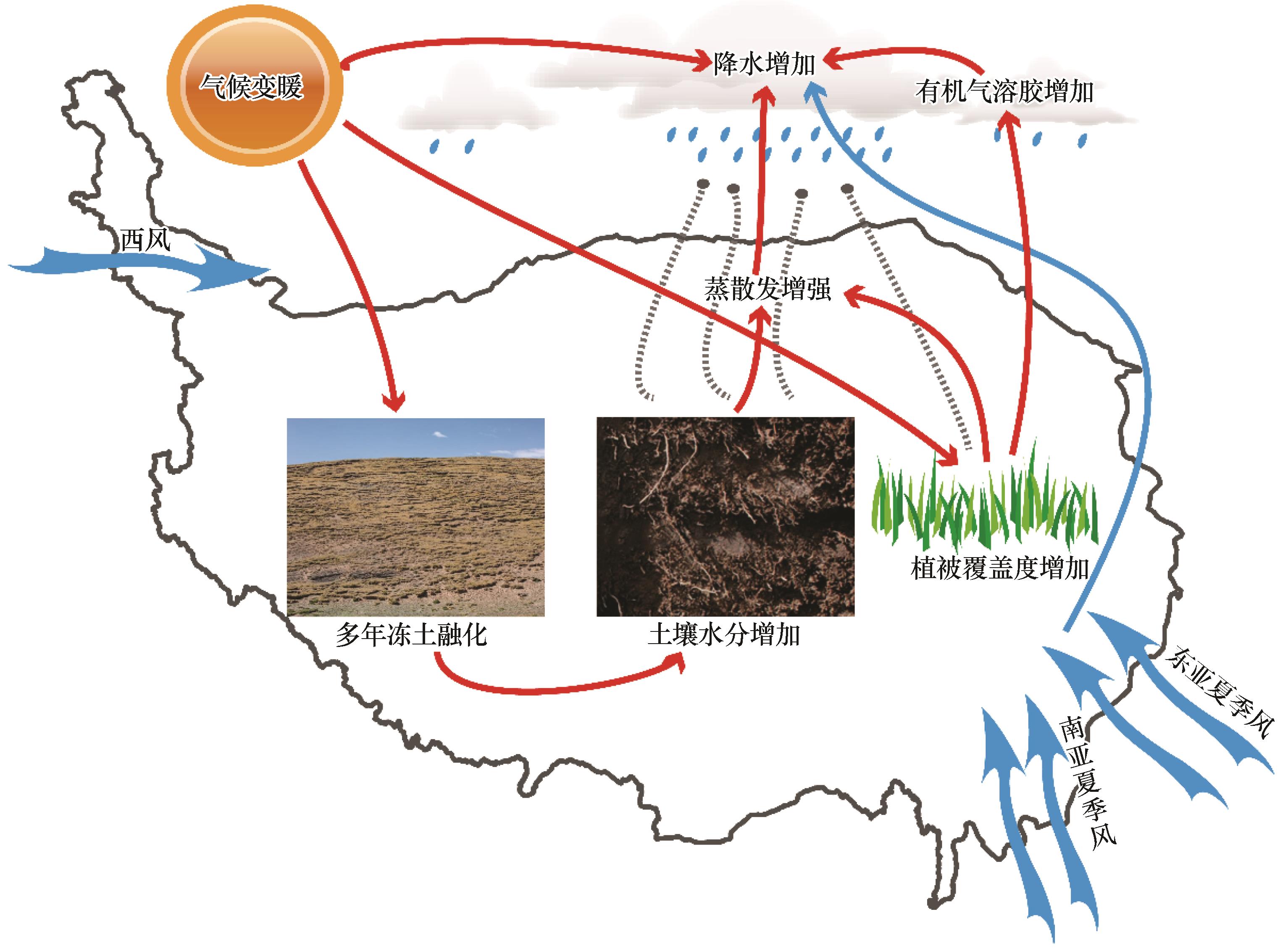 1961—2019年青藏高原中东部夏季强降水与大尺度环流的关系
