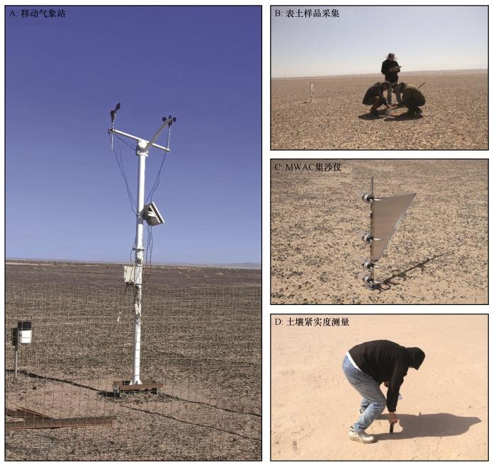 <strong>Comparison of aeolian sand activity characteristics among dry playa</strong>， <strong>gobi and sparse shrubland in the Beilujing area</strong>， <strong>lower reaches of the Shule River</strong>