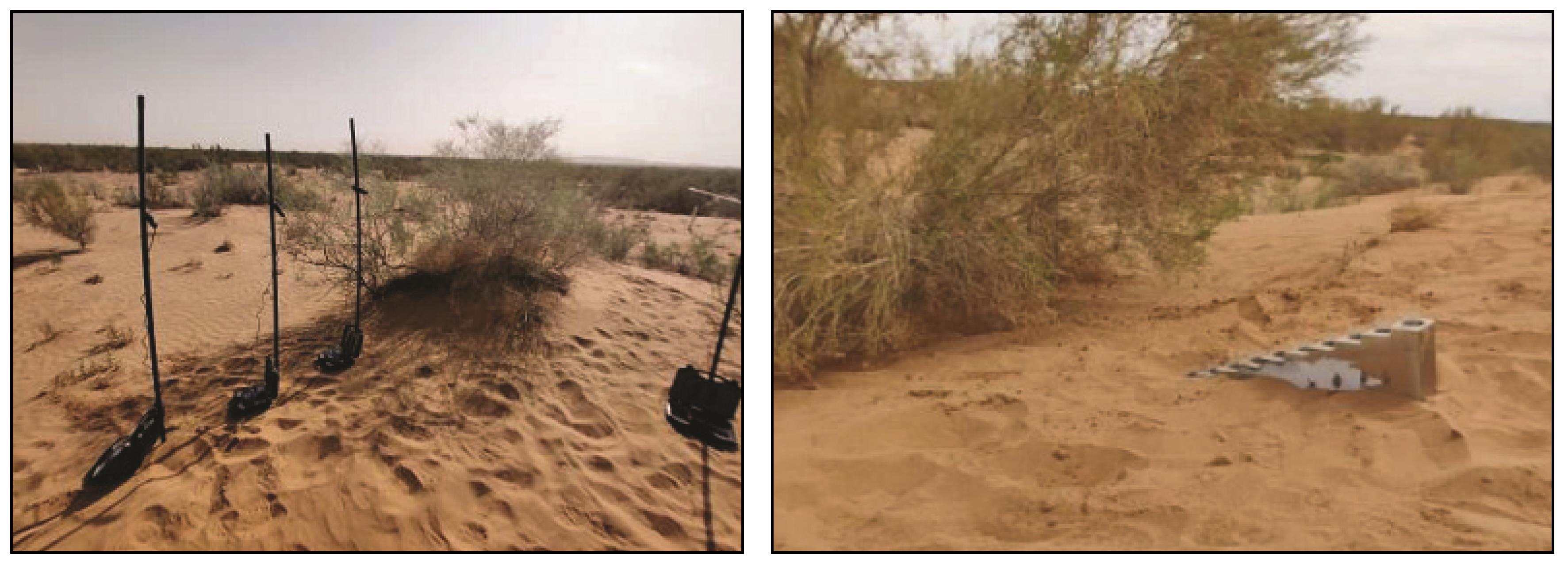 <strong>Windbreak and sand</strong>-<strong>fixation effects of typical shrub plants in the desert</strong>-<strong>oasis transitional zone in the middle reaches of the Heihe River</strong>